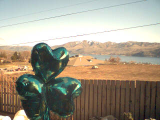 View from Janeen's front porch.