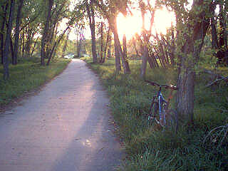 The ride home tonight.