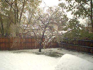 Can you believe we woke up to snow this morning?!