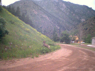 At Waterton Canyon on Wednesday.
