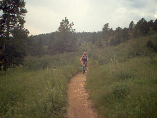 Nice Single Track