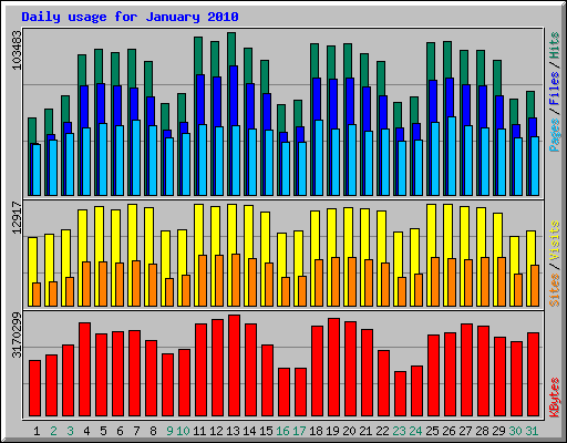 Daily usage for January 2010