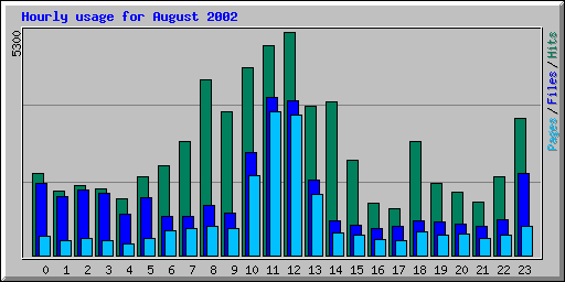 Hourly usage for August 2002