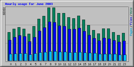 Hourly usage for June 2003
