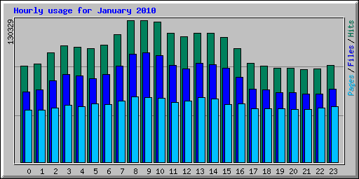 Hourly usage for January 2010